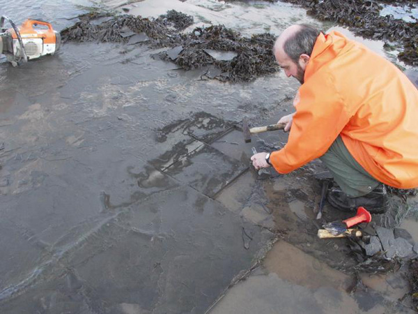 Rescue Excavation